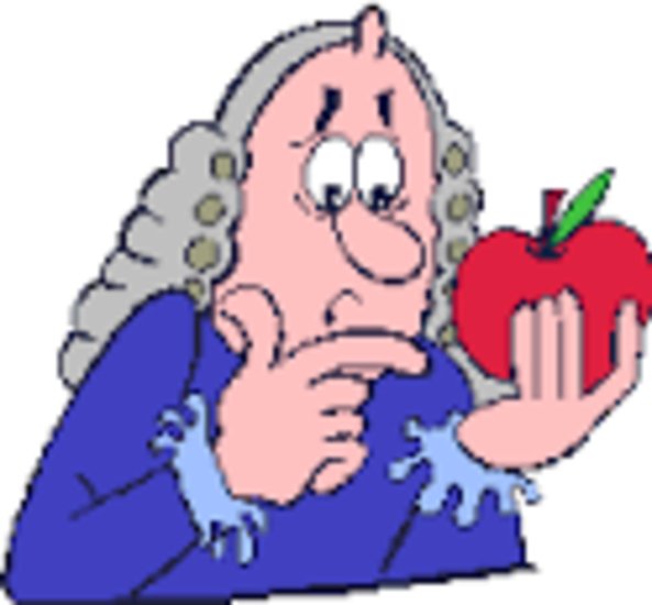 Jabłko Newtona 2015 - wyniki finałowe
